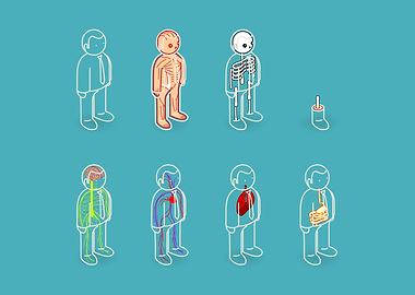 anatomy 101 - isometric