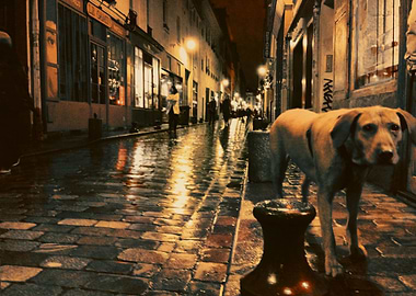 rain on the pavement