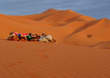 A Dawn In The Desert - (no Photoshop)