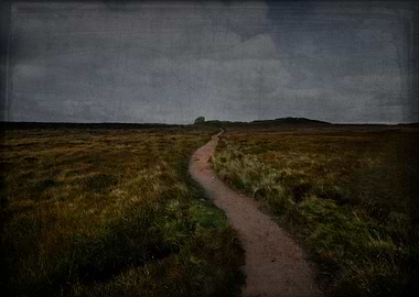 Orkney :: Searching for the Old Man of Hoy