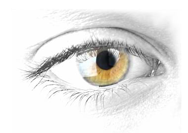 Looking to the future