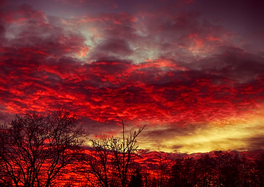 Crimson sky with red dramatic clouds. Sky on fire.