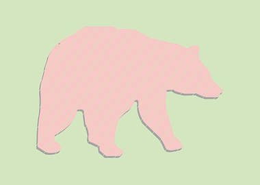 Pastel Bear