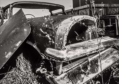 Dead cars series - in black and white #101
