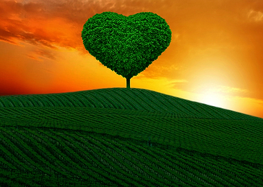 The little green heart tree