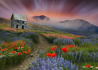 A color is as strong as the impression it creates. (Iva ...