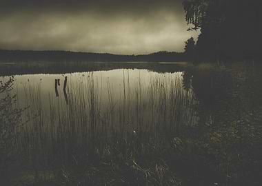 Dead fish don´t swim