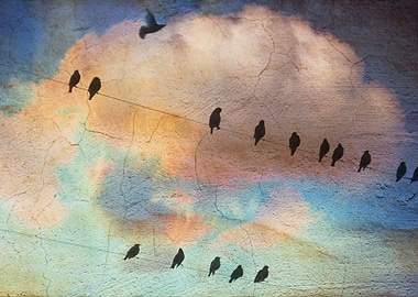 Birds on a wire against a colourful evening sky