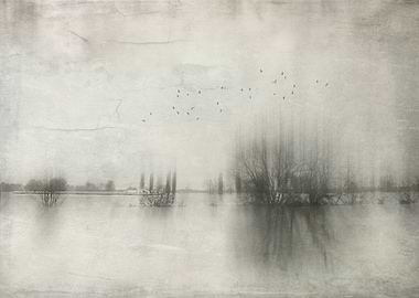 Flooded meadows of river R