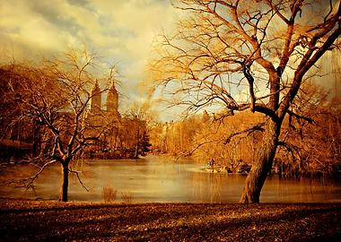 Bare Beauty in New Yorks Central Park on the cusp betwe ...