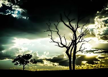 Sunset near Dungog, Australia.