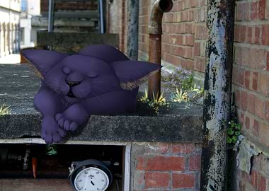 Shhh Dont Wake Him Up