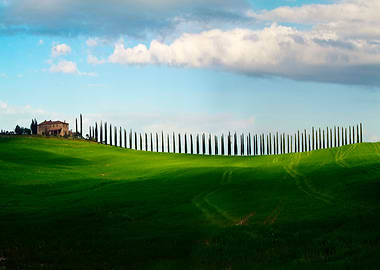 Cypresses Alley in Toscany