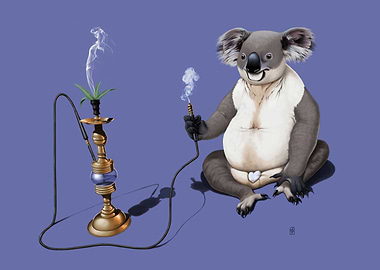 What a Drag (Colour)