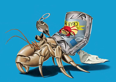 No Place Like Home (Colour)