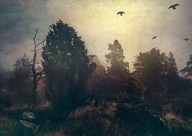 Home is where the fog is