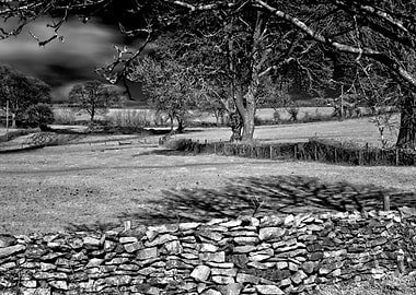 Infra Red Shadows A centuries old Somerset wall as it ...
