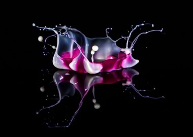 White and violet crown