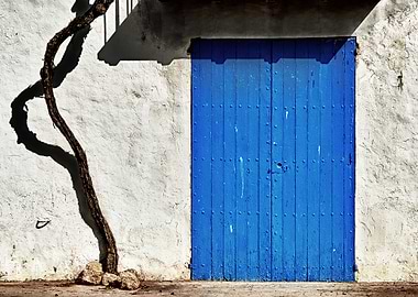 Vine and a blue door