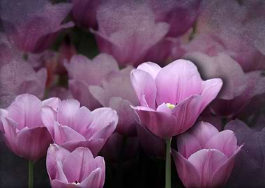 Stand Out in the Crowd