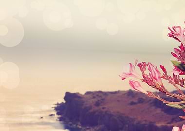 Flowers in Paradise 3