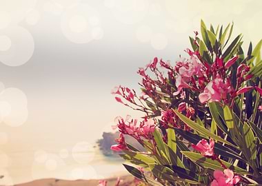 Flowers in Paradise 2