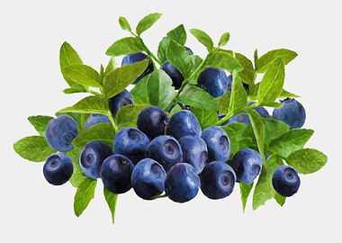 painted blueberries