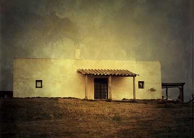 Color photograph taken in Cabo Polonio, Uruguay. This p ...