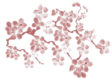 Cherry Blossom - In memory of Mackenzie