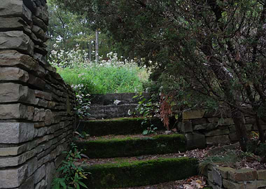 Mossy Steps