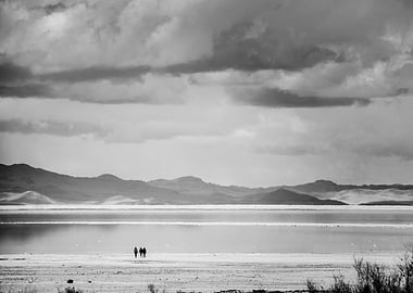 A walk along a salty shore