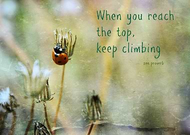 Zen Proverbs When you reach the top, keep climbing. Th ...