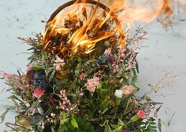 The Flowers of Romance