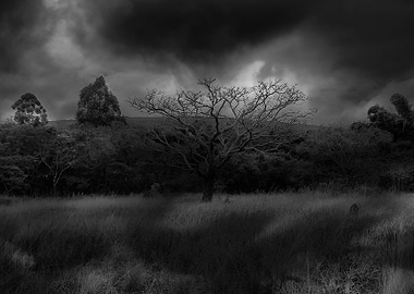 Valley of the shadow