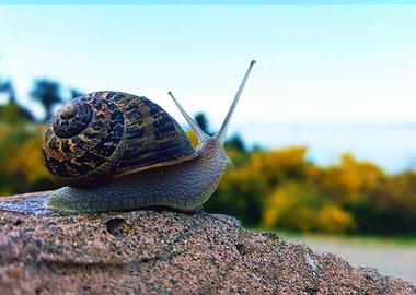 Shelly contemplating life.