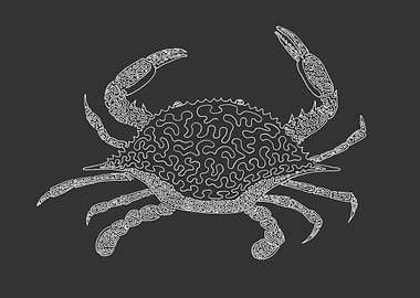 Crab - One Line Drawing. The line begins in the top of ...