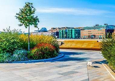 Kittyscape Of Moscow