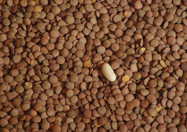 Conceptual photo. Pulse as inmigration concept.