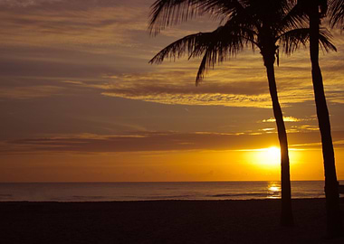 Sunrise by the Palms