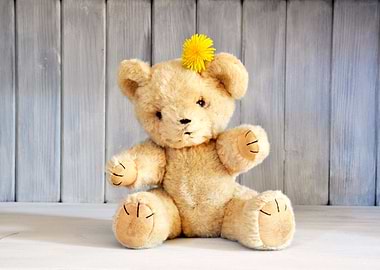Retro teddy bear