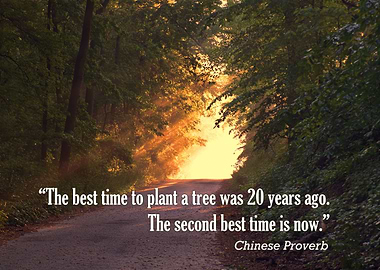 “The best time to plant a tree was 20 years ago. The se ...