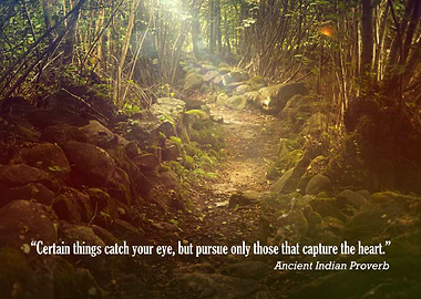 “Certain things catch your eye, but pursue only those t ...