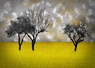 Rapeseed Landscape Art