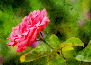 The Secret Garden The Secret Garden comes from the Clar ...