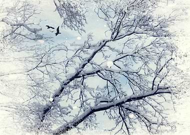 Snow covered branches against a cloudy sky - texturized ...