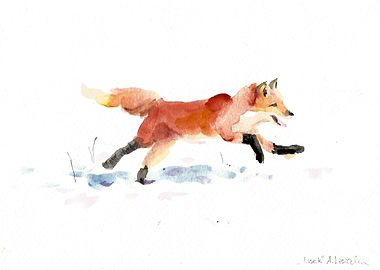 Young fox on the snow. Watercolour painting on paper.