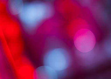 Lights of the Nights