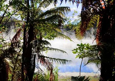 Lagoon through trees