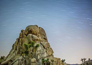 Nighttime Desert Landscape