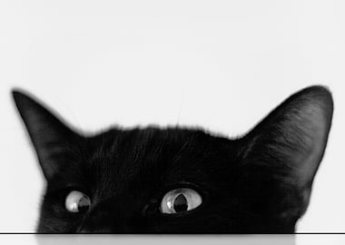 I see you
